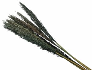 Trawa Sanmuga Grass Zielona 80cm 10 szt.