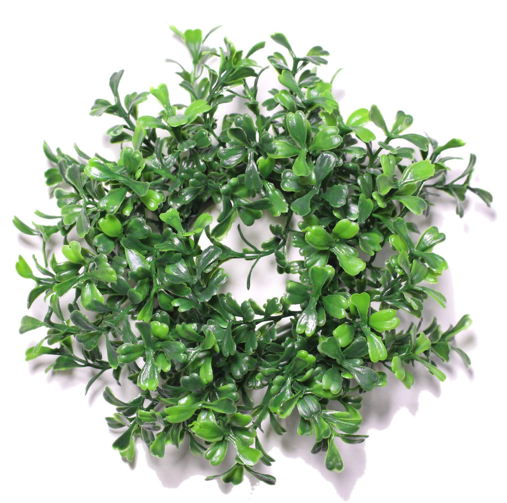 Wianek Bukszpan Borówka 20cm