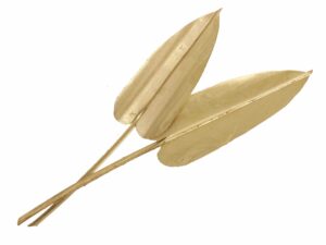 Liście Palmy w kształcie strzałek 20cm