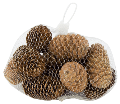 Szyszki Świąteczne Naturalne 12 sztuk opakowanie