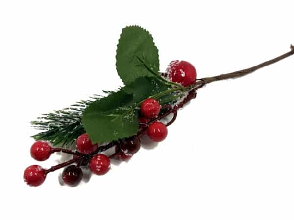 Gałązka świerku jarzębina ośnieżona