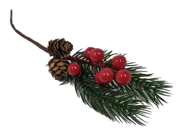 Gałązka świerku jarzębina szyszka