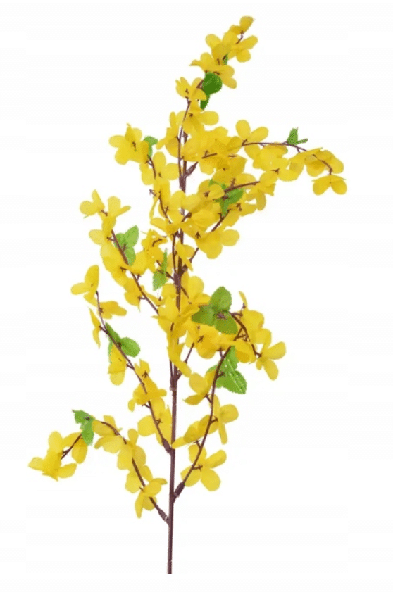 Gałązka Forsycji z Liśćmi 55cm